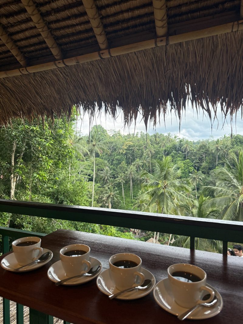 Coffee Plantation