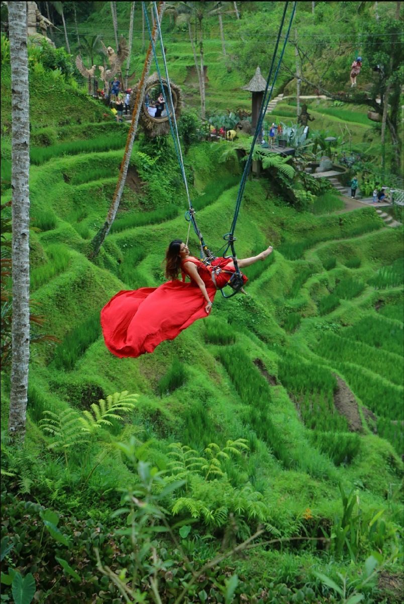 Jungle Swing