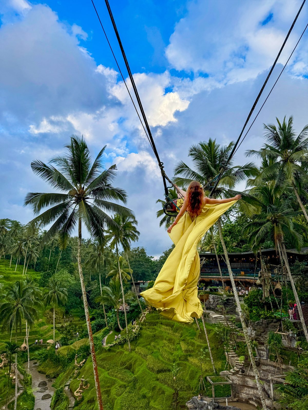 Jungle Swing