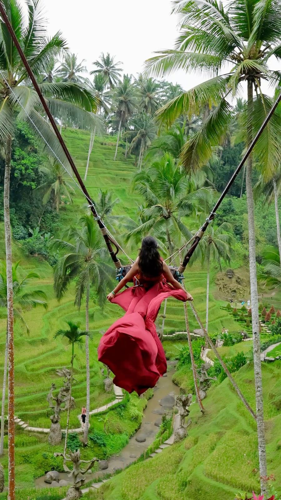 Jungle Swing