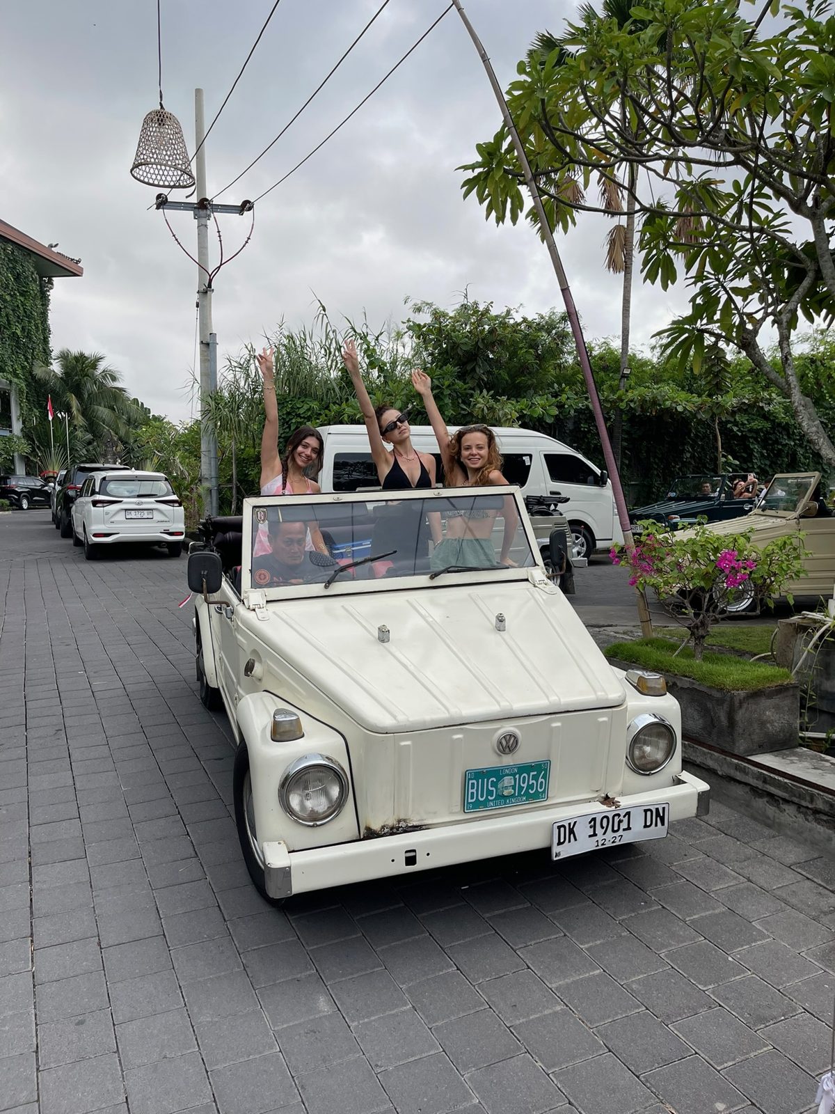 Bali Safari & Gece Safari