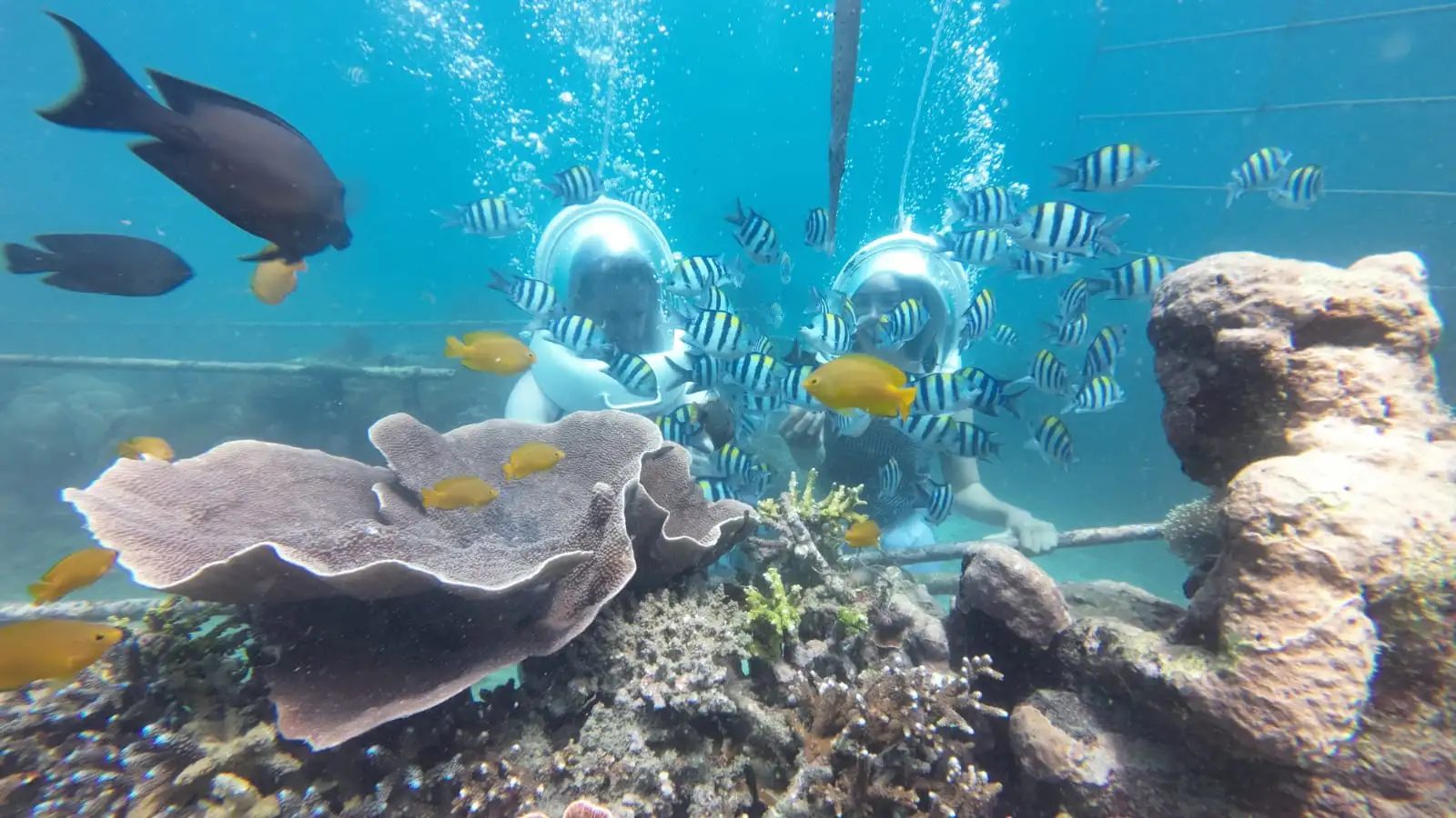 Tam görüşlü kaskla su altında misafirler — Nusa Dua